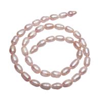 Cultured Rice Freshwater Pearl Beads, natural, pink, 5-6mm, Hole:Approx 0.8mm, Sold Per Approx 14.7 Inch Strand