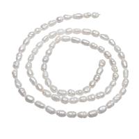 Cultured Baroque Freshwater Pearl Beads Nuggets natural white 3-4mm Approx 0.8mm Sold Per Approx 15 Inch Strand