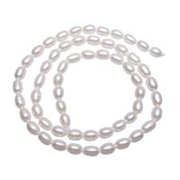 Cultured Rice Freshwater Pearl Beads, natural, pink, 4-5mm, Hole:Approx 0.8mm, Sold Per Approx 15 Inch Strand