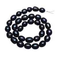 Perlas Arroz Freshwater, Perlas cultivadas de agua dulce, Negro, 10-11mm, agujero:aproximado 0.8mm, Vendido para aproximado 15 Inch Sarta