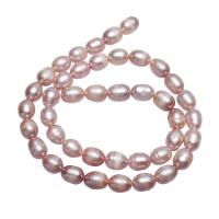 Cultured Rice Freshwater Pearl Beads, natural, pink, 7-8mm, Hole:Approx 0.8mm, Sold Per Approx 15.5 Inch Strand