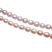 Cultured Potato Freshwater Pearl Beads, natural, different styles for choice, 10-11mm, Hole:Approx 0.8mm, Sold By Strand