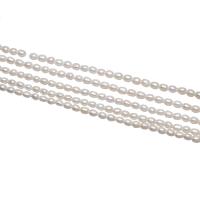 Cultured Rice Freshwater Pearl Beads natural white 3-4mm Approx 0.8mm Sold Per Approx 14.5 Inch Strand
