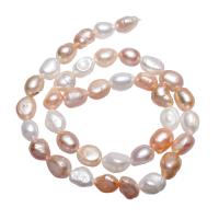 Cultured Rice Freshwater Pearl Beads, natural, mixed colors, 8-9mm, Hole:Approx 0.8mm, Sold Per Approx 14.7 Inch Strand