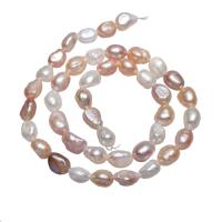 Cultured Potato Freshwater Pearl Beads, natural, mixed colors, 7-8mm, Hole:Approx 0.8mm, Sold Per Approx 15.5 Inch Strand