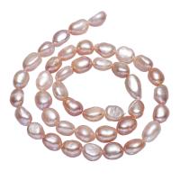 Cultured Potato Freshwater Pearl Beads, natural, purple, 6-7mm, Hole:Approx 0.8mm, Sold Per Approx 14.7 Inch Strand