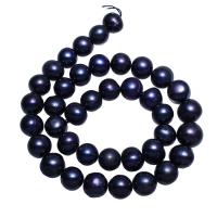 Cultured Round Freshwater Pearl Beads, dark purple, 10-11mm, Hole:Approx 0.8mm, Sold Per Approx 14.5 Inch Strand
