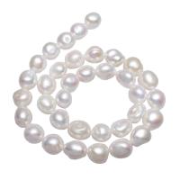 Perles nacres baroques de culture d'eau douce , perle d'eau douce cultivée, pepite, naturel, blanc, 10-11mm, Vendu par Environ 15.7 pouce brin