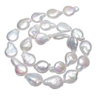 Barock kultivierten Süßwassersee Perlen, Natürliche kultivierte Süßwasserperlen, Klumpen, natürlich, weiß, 12-13mm, verkauft per ca. 15 ZollInch Strang