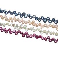 Perles nacres baroques de culture d'eau douce , perle d'eau douce cultivée, pepite, couleurs mélangées, 5-6mm, Vendu par Environ 14.5 pouce brin