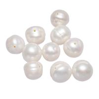 Naturliga sötvattenspärla lösa pärlor, Freshwater Pearl, Potatis, vit, 10-11mm, Säljs av PC