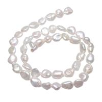 Barock odlad sötvattenspärla pärlor, Freshwater Pearl, Nuggets, naturlig, vit, 7-8mm, Hål:Ca 0.8mm, Såld Per Ca 15.3 inch Strand