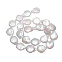 Perles de culture d'eau douce Keishi, perle d'eau douce cultivée, Plat rond, naturel, blanc, 13-14mm, Trou:Environ 0.8mm, Vendu par Environ 15 pouce brin