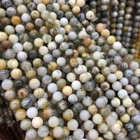 Agat perler, Bamboo Agate, forskellig størrelse for valg, Solgt Per Ca. 15 inch Strand