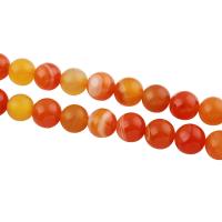 Natürliche Streifen Achat Perlen, rund, verschiedene Größen vorhanden, orange, verkauft per ca. 15.5 ZollInch Strang