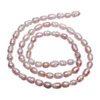 Cultured Potato Freshwater Pearl Beads, with troll, purple, 4mm, Hole:Approx 0.8mm, 60PCs/Strand, Sold Per Approx 15.7 Inch Strand