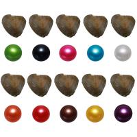 Oyster & Wish Pearl Kit Freshwater Pearl Potato mixed colors 7-8mm Sold By Lot