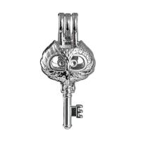 Tibetan Style Floating Locket Pendant, Key, platinum color plated, Essential oil diffusion & for woman, lead & cadmium free, 16x33mm, Hole:Approx 2.5mm, Sold By PC