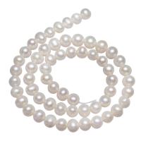Perlas Patata Freshwater, Perlas cultivadas de agua dulce, natural, Blanco, 7-8mm, agujero:aproximado 0.8mm, Vendido para aproximado 14.5 Inch Sarta