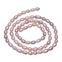 Cultured Rice Freshwater Pearl Beads, natural, purple, 3-4mm, Hole:Approx 0.8mm, Sold Per Approx 15.5 Inch Strand