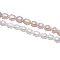 Cultured Potato Freshwater Pearl Beads, with troll, different styles for choice, Hole:Approx 2mm, Sold Per Approx 15.3 Inch Strand
