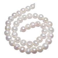 Cultured Potato Freshwater Pearl Beads, with troll, different size for choice, white, Sold Per 15 Inch Strand