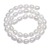 Cultured Potato Freshwater Pearl Beads, natural, white, 8-9mm, Hole:Approx 1.5mm, Sold Per 14.5 Inch Strand
