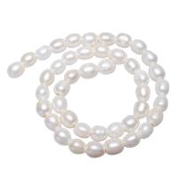 Perlas Patata Freshwater, Perlas cultivadas de agua dulce, natural, diferentes estilos para la opción, Blanco, 8-9mm, Vendido por Sarta
