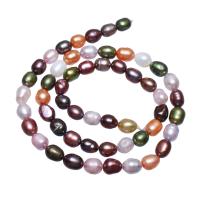 Cultured Potato Freshwater Pearl Beads, mixed colors, 5-6mm, Hole:Approx 0.8mm, Sold Per 15.7 Inch Strand