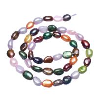 Perles nacres baroques de culture d'eau douce , perle d'eau douce cultivée, pepite, couleurs mélangées, 6-7mm, Trou:Environ 0.8mm, Vendu par 15.5 pouce brin