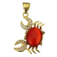 Edelstahl Tieranhänger, mit Glas, Krabbe, goldfarben plattiert, für Frau & mit Strass, rot, 17x22x5mm, Bohrung:ca. 4mm, verkauft von PC