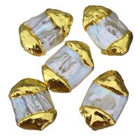 Perła naturalna słodkowodna Koralik, Bryłki, Platerowane w kolorze złota, 19-20x26-30x8-10mm, otwór:około 0.5mm, 10komputery/wiele, sprzedane przez wiele
