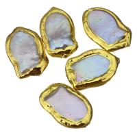Cultured Baroque Freshwater Pearl Beads, Nuggets, gold color plated, random style, 13-14x20-22x4-5mm, Hole:Approx 0.5mm, 10PCs/Lot, Sold By Lot
