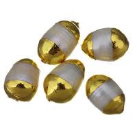 Freshwater Pearl Bead, Nuggets, guldfärg pläterade, slumpmässigt skickade, 9-10x14-16x9-10mm, Hål:Ca 1mm, 10PC/Lot, Säljs av Lot
