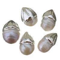 Cultured Baroque Freshwater Pearl Beads, silver color plated, random style, 12-16x20-23x12-16mm, Hole:Approx 0.5mm, 10PCs/Lot, Sold By Lot