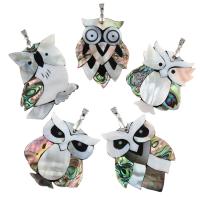 Black Shell Pendant with Abalone Shell Paper & White Shell & Resin & Brass Owl platinum color plated Approx Sold By Bag