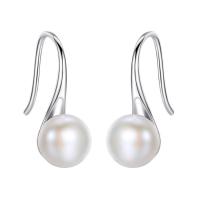 Freshwater Pearl Earrings Brass with Freshwater Pearl Round platinum plated for woman nickel lead & cadmium free Sold By Pair