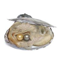 Freshwater Cultured Love Wish Pearl Oyster, more colors for choice, 10-11mm, Sold By PC