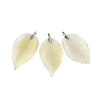 Brass Jewelry Pendants, with Real Leaf, Leaf, plated, different size for choice, more colors for choice, nickel, lead & cadmium free, Sold By PC