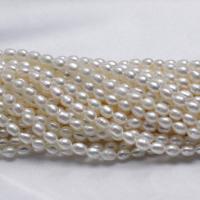 Riso coltivato in perla d'acqua dolce, perla d'acquadolce coltivata naturalmente, naturale, nessuno, 4-5mm, Foro:Appross. 0.8mm, Venduto per Appross. 15 pollice filo