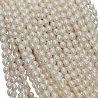 Riso coltivato in perla d'acqua dolce, perla d'acquadolce coltivata naturalmente, naturale, bianco, 5-6mm, Foro:Appross. 0.8mm, Venduto per Appross. 15-15.5 pollice filo
