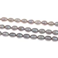Perlas Arroz Freshwater, Perlas cultivadas de agua dulce, gris, 7-8mm, agujero:aproximado 0.8mm, Vendido para aproximado 15 Inch Sarta