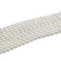Perles d'eau douce de culture de riz, perle d'eau douce cultivée, naturel, blanc, 8mm, Trou:Environ 0.8mm, Vendu par Environ 15 pouce brin