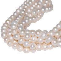 Perlas Patata Freshwater, Perlas cultivadas de agua dulce, natural, Blanco, 7-8mm, agujero:aproximado 0.8mm, Vendido para aproximado 15 Inch Sarta