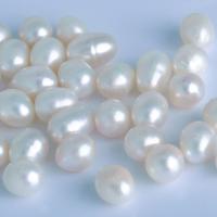 Perlas Freshwater sin Agujero, Perlas cultivadas de agua dulce, Arroz, natural, Blanco, 9-9.5mm, 10PCs/Bolsa, Vendido por Bolsa