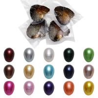 Oyster & Wish Pearl Kit, Natürliche kultivierte Süßwasserperlen, Reis, gemischte Farben, 7-8mm, 50PCs/Menge, verkauft von Menge