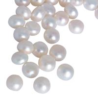 Cultured No Hole Freshwater Pearl Beads Button natural white 8.5-9mm Sold By Bag