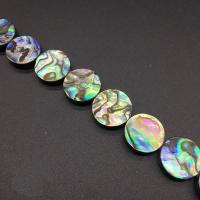 Abalone -Shell-Beads, conchiglia Abalone, stili diversi per la scelta, 10PC/lotto, Venduto da lotto