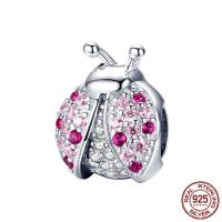 925 Sterling Silver, Ladybug, platinum plated, micro pave cubic zirconia & for woman, 12x10mm, Hole:Approx 1-5mm, Sold By PC