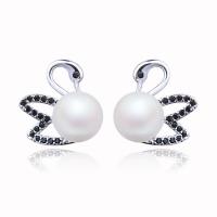 Brass Stud Earring, with pearl, Swan, silver color plated, micro pave rhinestone & for woman, black, nickel, lead & cadmium free, 14*14mm, Sold By Pair